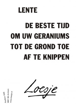 lente de beste tijd om uw geraniums tot de grond toe af te knippen