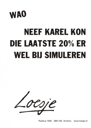 WAO; neef Karel kon er die laatste 20% wel bij simuleren