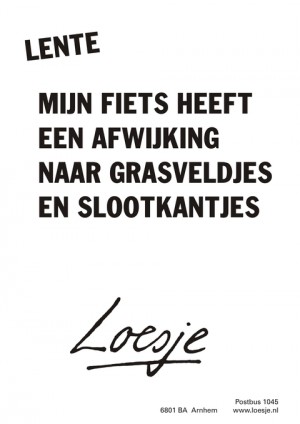 Lente; mijn fiets heeft een afwijking naar grasveldjes en slootkantjes.