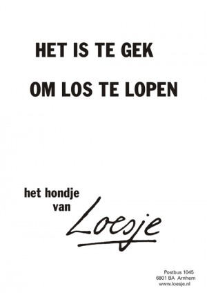 Het is te gek om los te lopen -het hondje van-