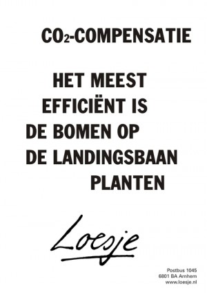 co2-compensatie het meest efficient is de bomen op de landingsbaan planten