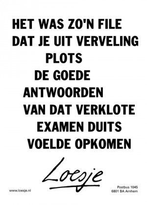 het was zo’n file dat je uit verveling plots de goede antwoorden van dat verklote examen Duits voelde opkomen