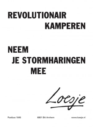revolutionair kamperen; neem je stormharingen mee
