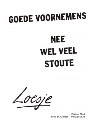 goede  voornemens; nee, wel veel stoute