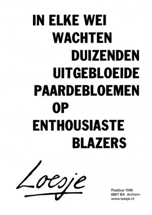 In elke wei wachten duizenden uitgebloeide paardebloemen op enthousiaste blazers