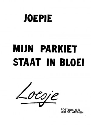 Joepie mijn parkiet staat in bloei