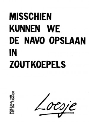 Misschien kunnen we de NAVO opslaan in zoutkoepels