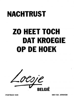 Nachtrust zo heet toch dat kroegie op de hoek Loesje Belgie