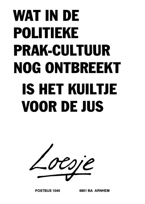 Wat in de politieke prak-cultuur nog ontbreekt is het kuiltje voor de jus