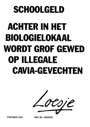 Schoolgeld  achter in het biologielokaal wordt grof gewed op illegale cavia-gevechten