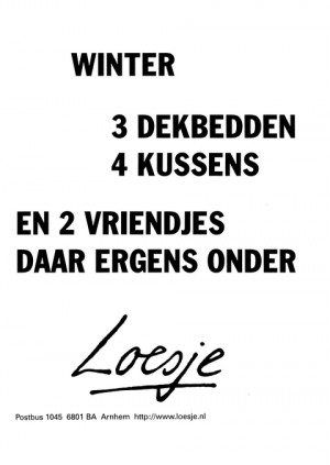 Winter. 3 dekbedden 4 kussens en twee vriendjes daar ergens onder.