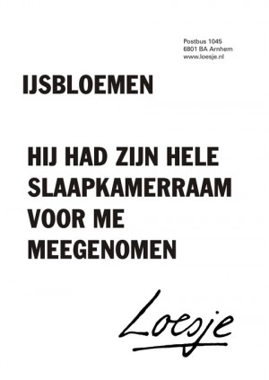 ijsbloemen hij had zijn hele slaapkamerraam voor me meegenomen