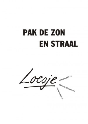 Pak de zon en straal