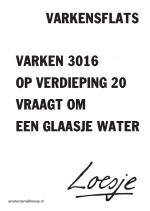 Varkensflats varken 3016 op verdieping 20 vraagt om een glaasje water