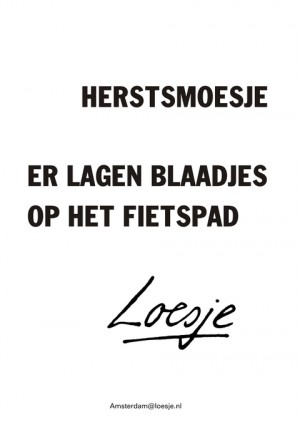 herfstsmoesje er lagen blaadjes op het fietspad