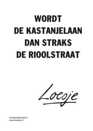 Wordt de kastanjelaan dan straks de rioolstraat