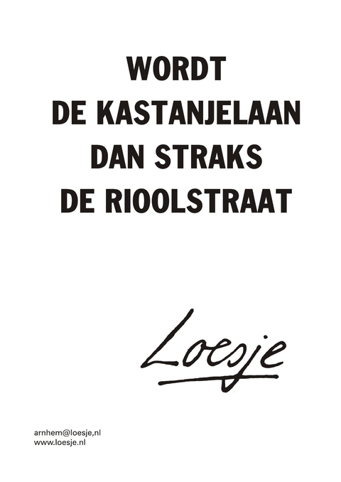 Wordt de kastanjelaan dan straks de rioolstraat