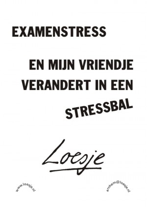 examenstress en mijn vriendje verandert in een stressbal
