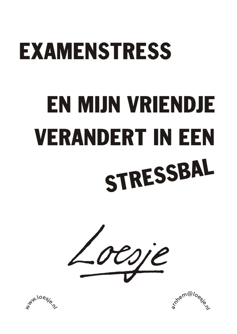 examenstress en mijn vriendje verandert in een stressbal