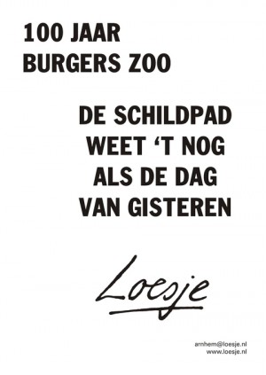 100 jaar burgers zoo de schildpad weet ’t nog als de dag van gisteren