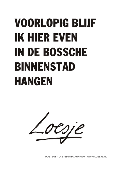 Voorlopig blijf ik hier even in de bossche binnenstad hangen