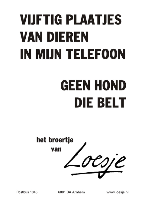 vijftig plaatjes van dieren in mijn telefoon geen hond die belt het broertje van