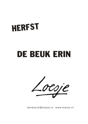 Herfst de beuk erin