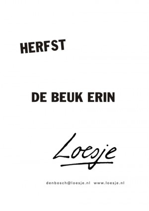 Herfst de beuk erin