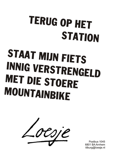 terug op het station staat mijn fiets innig verstrengeld met die stoere mountainbike