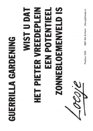 guerillia gardening wist u dat het pieter vreedeplein een potentieel zonnebloemenveld is