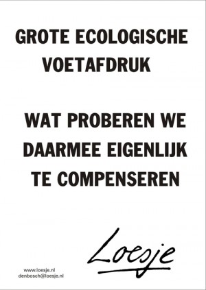 grote ecologische voetafdruk wat proberen we daarmee eigenlijk te compenseren