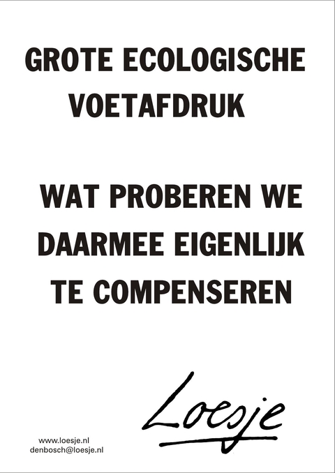 grote ecologische voetafdruk wat proberen we daarmee eigenlijk te compenseren