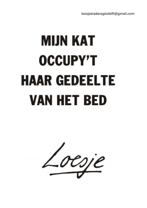 mijn kat occupy’t haar gedeelte van het bed