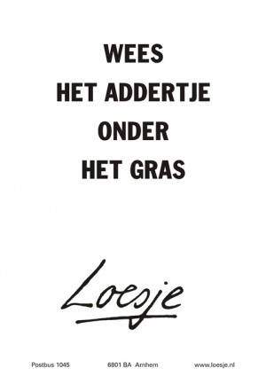 wees het addertje onder het gras