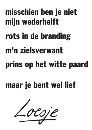 misschien ben je niet mijn wederhelft, rots in de branding, m’n zielsverwant, prins op het witte paard, maar je bent wel lief