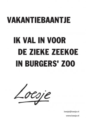 Vakantiebaantje; ik val in voor de zieke zeekoe in Burgers’ Zoo