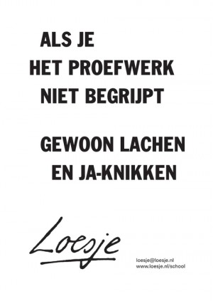 Als je het proefwerk niet begrijp, gewoon lachen en ja-knikken