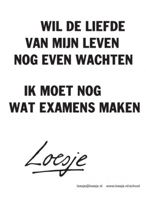 Wil de liefde van mijn leven nog even wachten; ik moet nog wat examens maken