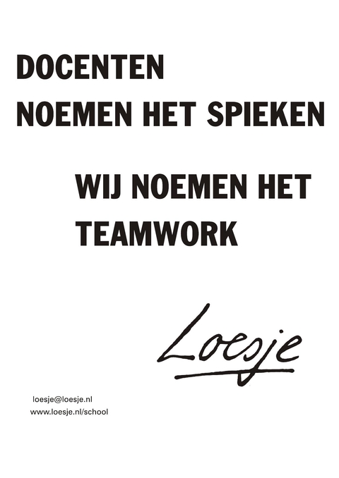 docenten noemen het spieken wij noemen het teamwork