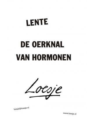 lente de oerknal van hormonen