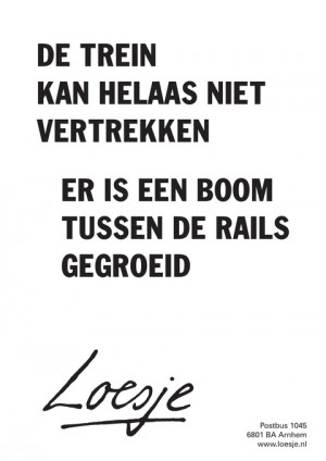 de trein kan helaas niet vertrekken er is een boom tussen de rails gegroeid