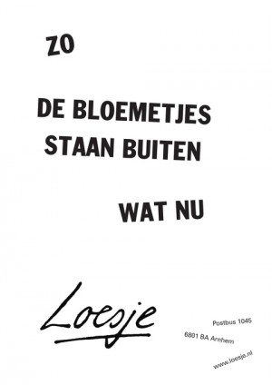 zo de bloemetjes staan buiten wat nu