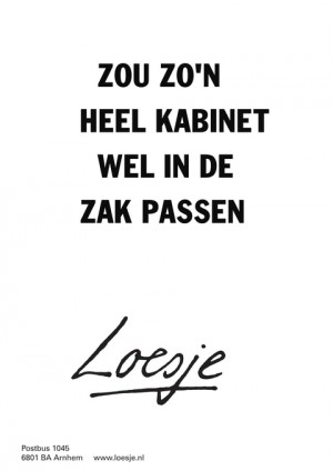 zou zo’n heel kabinet wel in de zak passen