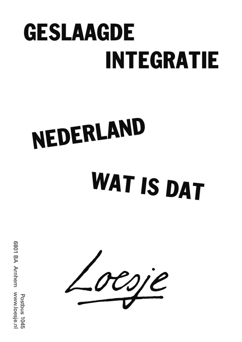 geslaagde integratie nederland wat is dat