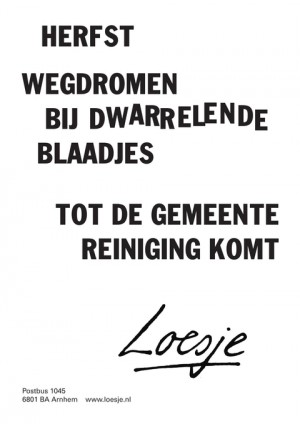 herfst wegdromen bij dwarrelende blaadjes tot de gemeente reiniging komt