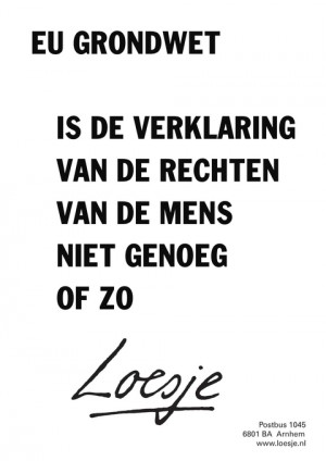 eu grondwet is de verklaring van de rechten van de mens niet genoeg of zo