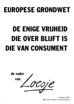 europese grondwet de enige vrijheid die over blijft is die van consument