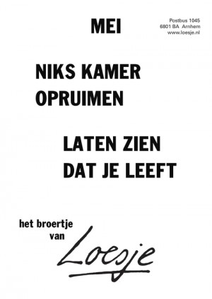 mei niks kamer opruimen laten zien dat je leeft