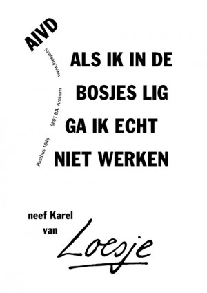 aivd als ik in de bosjes lig ga ik echt niet werken