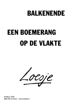 balkenende een boemerang op de vlakte